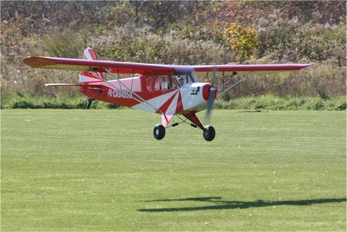 Scala sig clipped wing cub - scala,